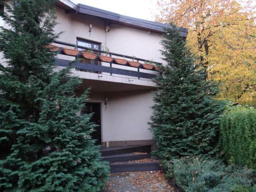 Pensiunea Bamboo - Villa