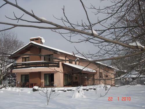 Pensiunea Bamboo - Villa