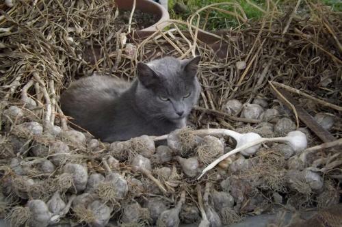 Bed & Breakfast I Due Noci