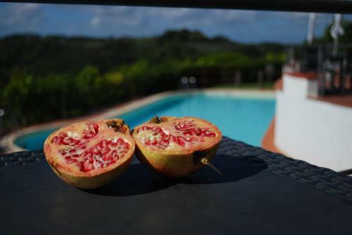 Agroturismo Borgo La Casaccia