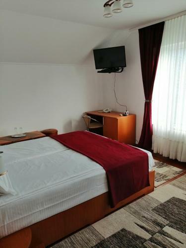 Hostal Casa Pintea