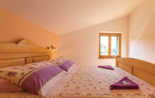 Hostal Farm Stay Feniks