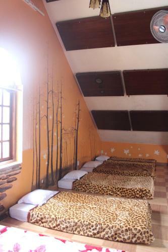 Hotel Cam Ly Homestay