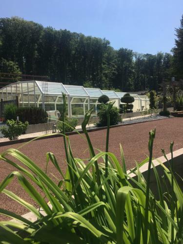 Bed & Breakfast Domaine Du Moulin