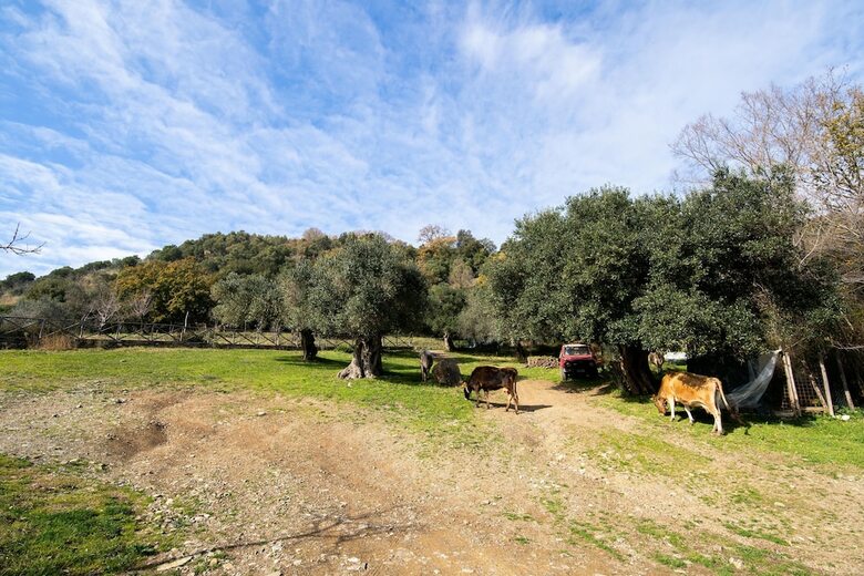 Hostal Agriturismo San Basilio
