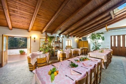 Agroturismo Agriturismo Serafina