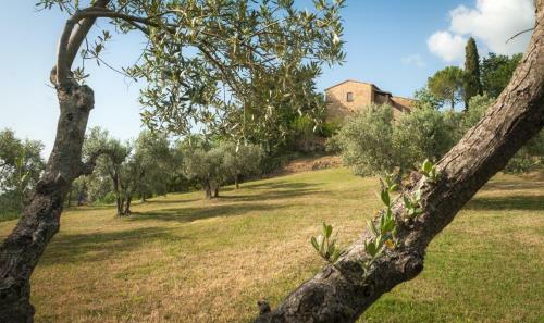 Hostal Holiday Home Arpicella