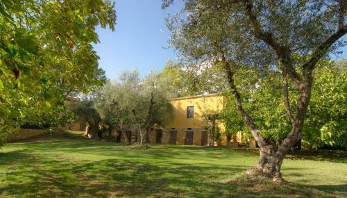 Hostal Holiday Home Arpicella