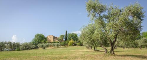 Hostal Holiday Home Arpicella