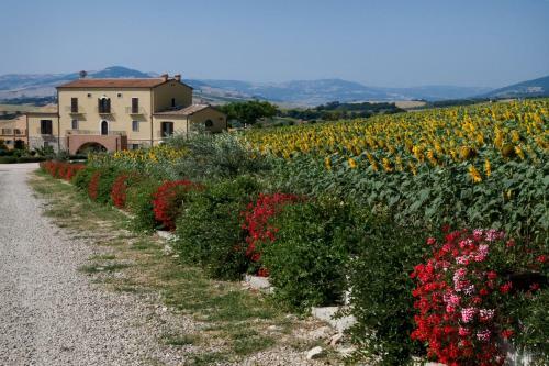Agroturismo Masseria Grande