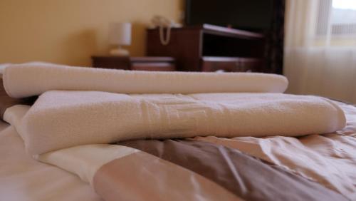 Hostal Pension Musatinii