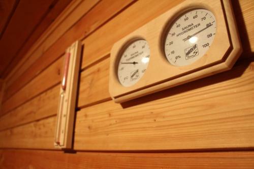 Hostal Pension Musatinii