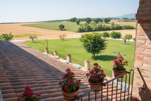 Agroturismo Agriturismo Il Tiro