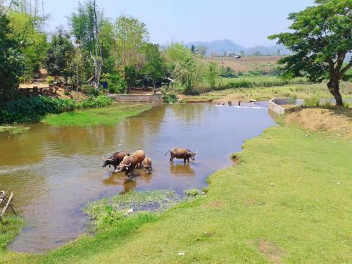 Hotel Huan Chiang Dao Resort