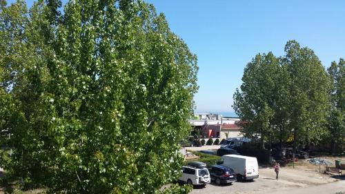Hostal Vila Paloma Residence Mamaia