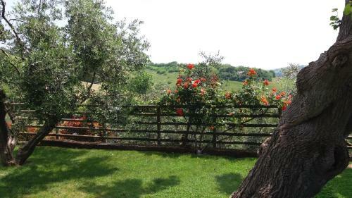 Hostal Agriturismo Poggio Agli Ulivi