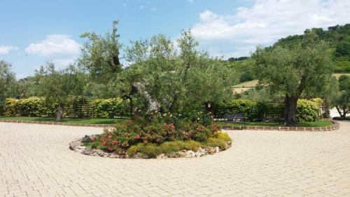 Hostal Agriturismo Poggio Agli Ulivi