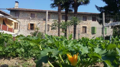 Agroturismo B&B Al Vecchio Confine