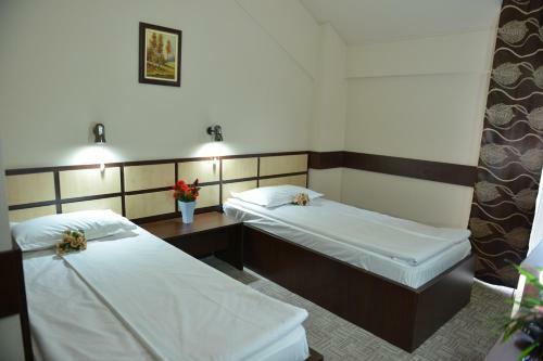 Hotel Valahia