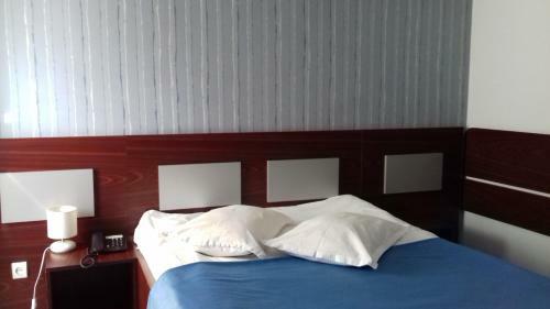 Hotel Valahia