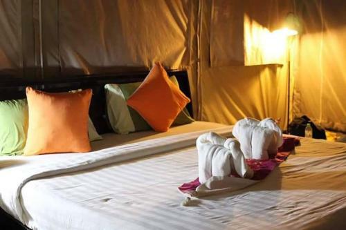 Khaosok Discovery Boutique Camps