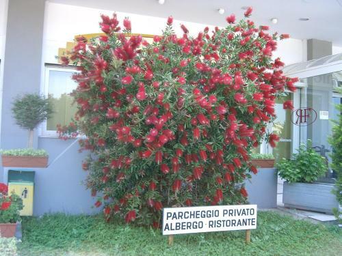 Hotel Filiberto