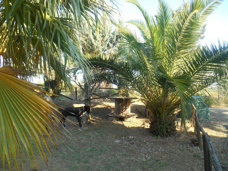 Agroturismo Borgo Fontelupo
