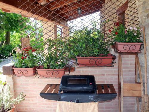 Apartment Ginestra Pennabili