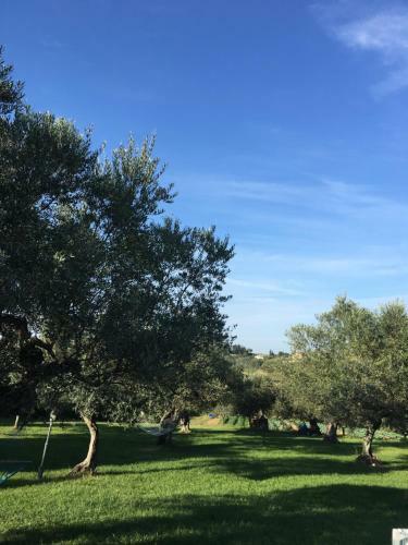 Hostal Agriturismo La Rustica