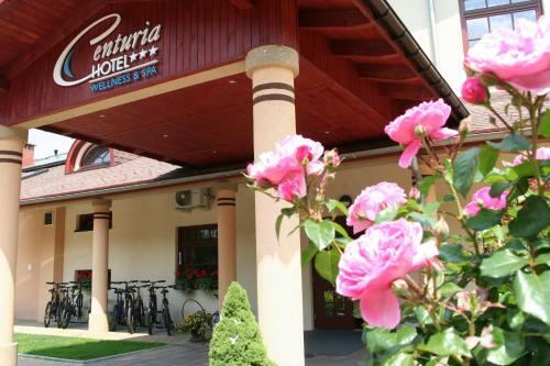Hotel Centuria