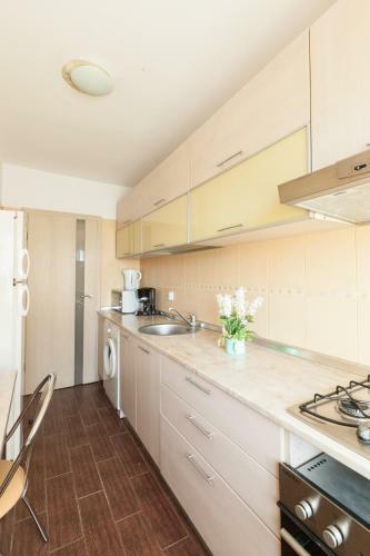 Next Apartments Cantemir