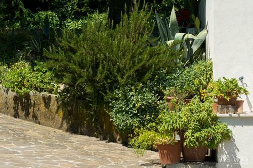 Hostal Villa Moni