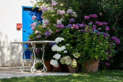 Hostal Villa Moni