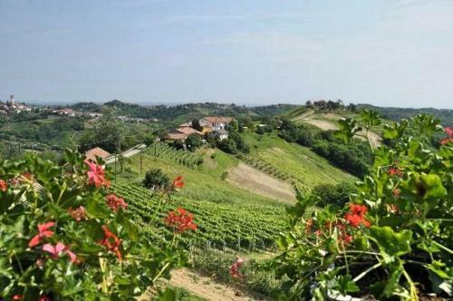 Agroturismo Profumi...