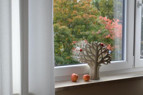 Apartament Bella Nova Centrum