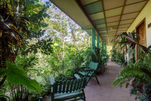 Lands In Love Hotel And Resort