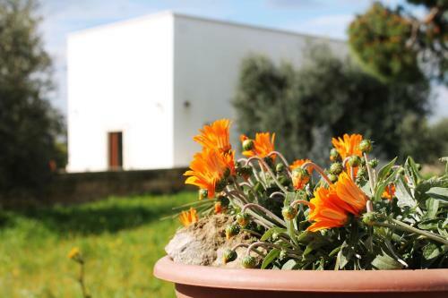 Hostal Masseria Marico