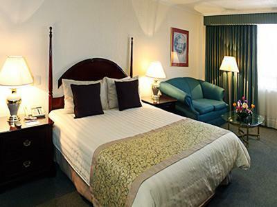 Hotel Pedregal Palace
