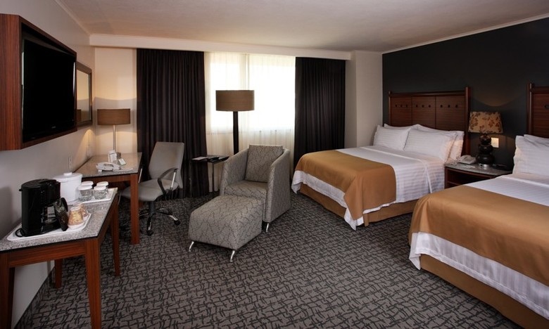 Hotel Holiday Inn Ciudad De M�xico Trade Center