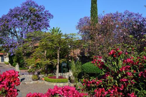Hotel Villa Monta�a