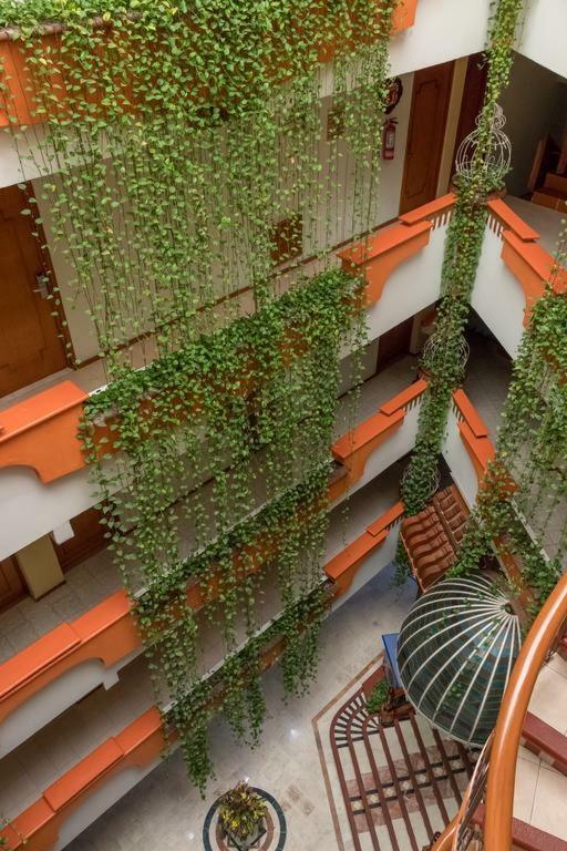 Hotel Baez Carrizal
