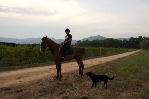 Agroturismo I Carrubi