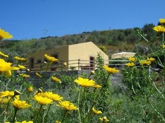 Hostal Agriturismo Antica Sena