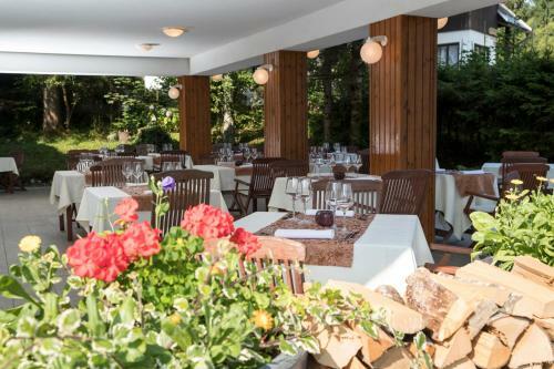 Hotel Kristal