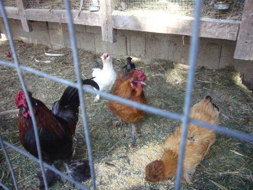 Agroturismo Su Barroccu