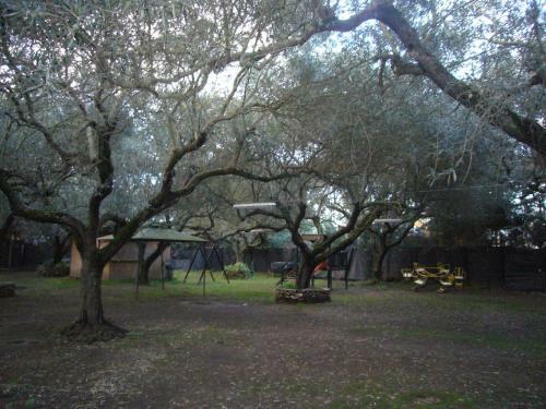 Agroturismo Su Barroccu