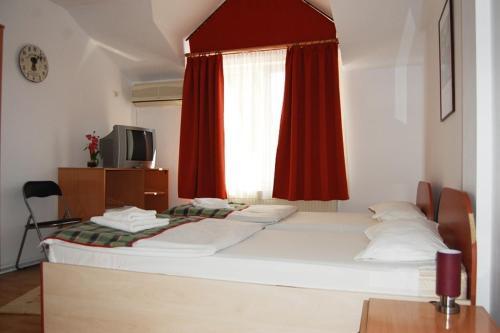 Hostal Pensiunea Next