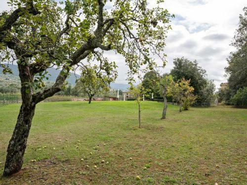 Agroturismo Holiday Home Frantoio Reggello