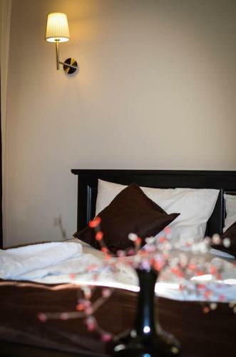 Hostal Pensiunea Violeta
