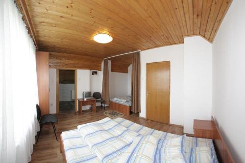 Hostal Pensiunea Pui De Urs Sirnea